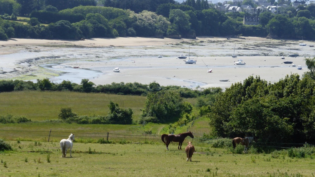Photo of Others in Saint-Briac-sur-Mer