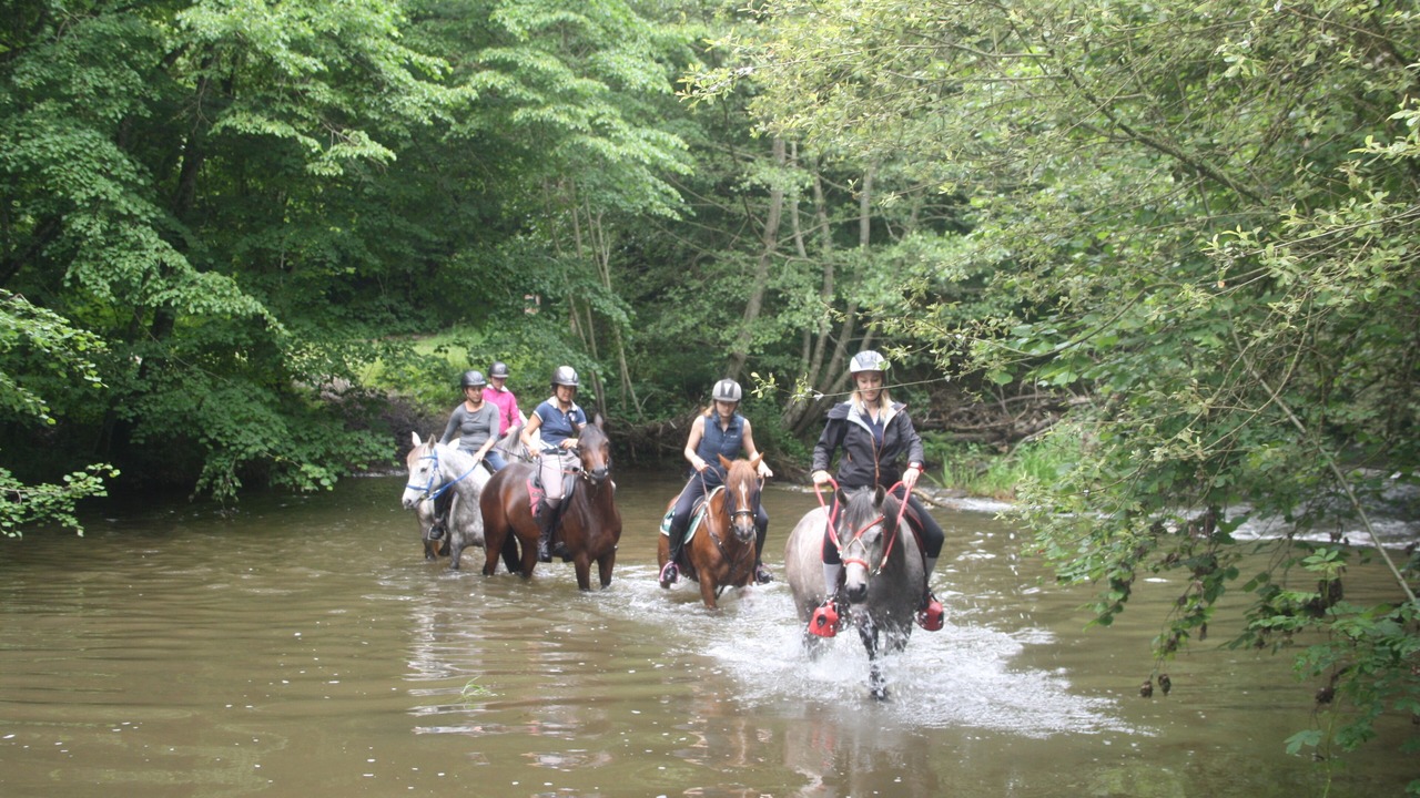 Photo of Outdoor in Sainte-Juliette-sur-Viaur