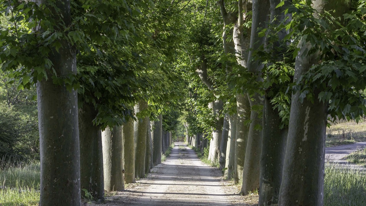 Photo of Others in La Penne