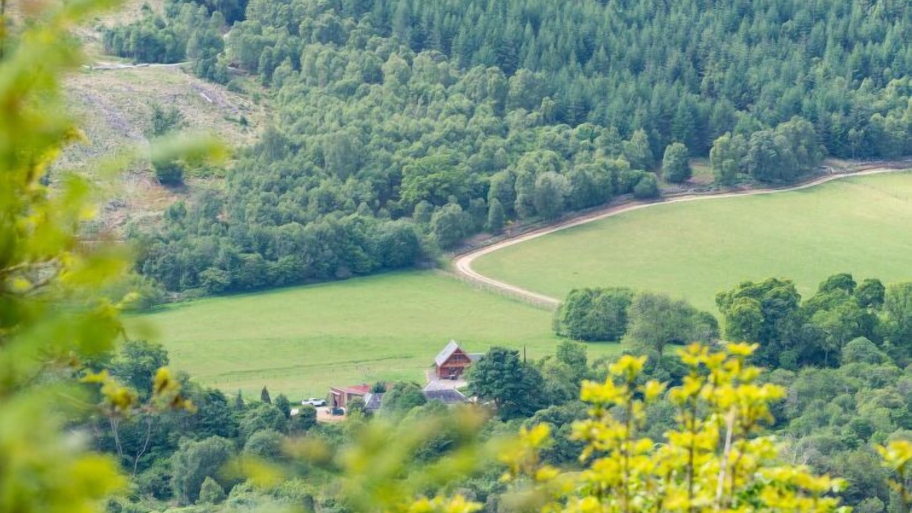 Photo of Others in Lewiston