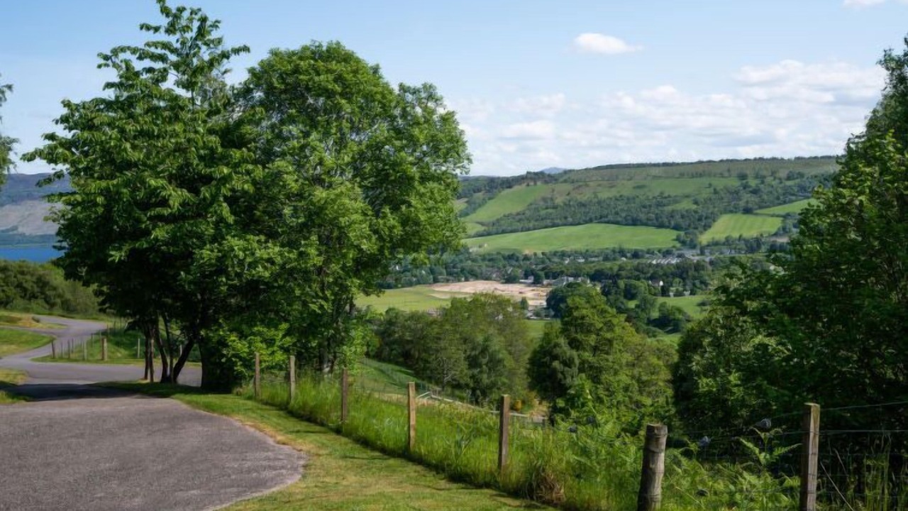 Photo of Others in Lewiston