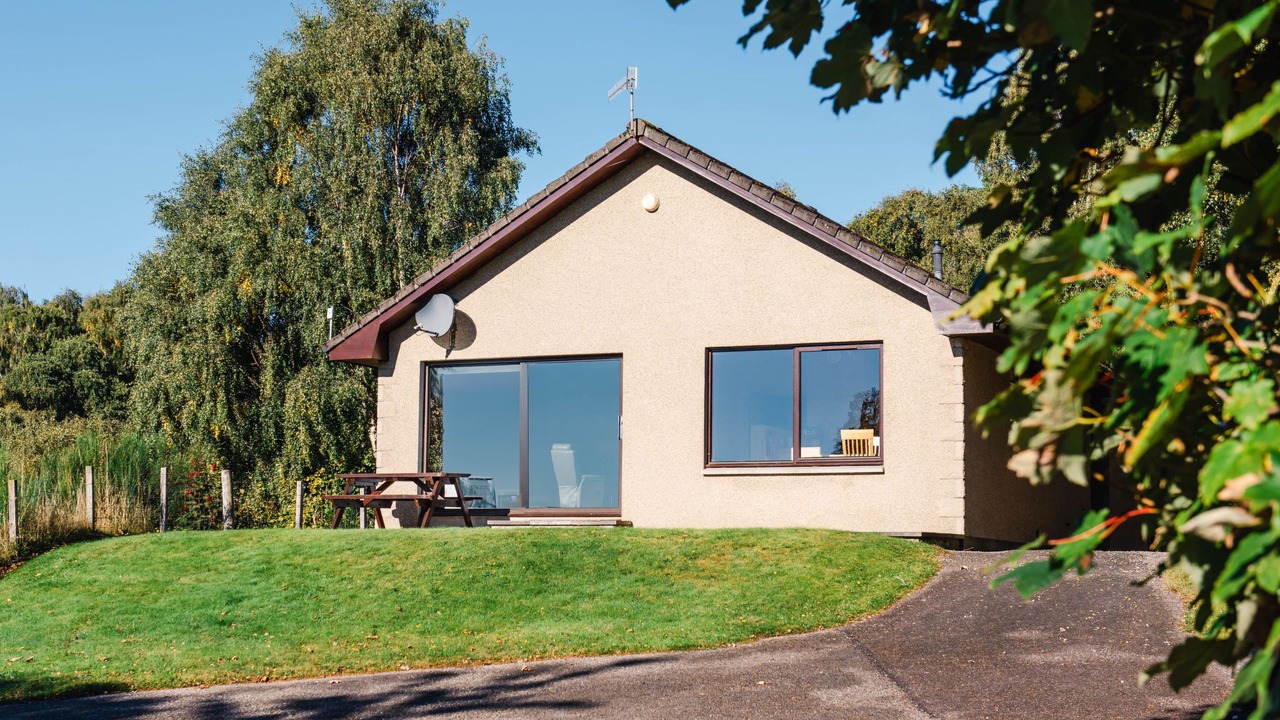 Photo of Others in Lewiston