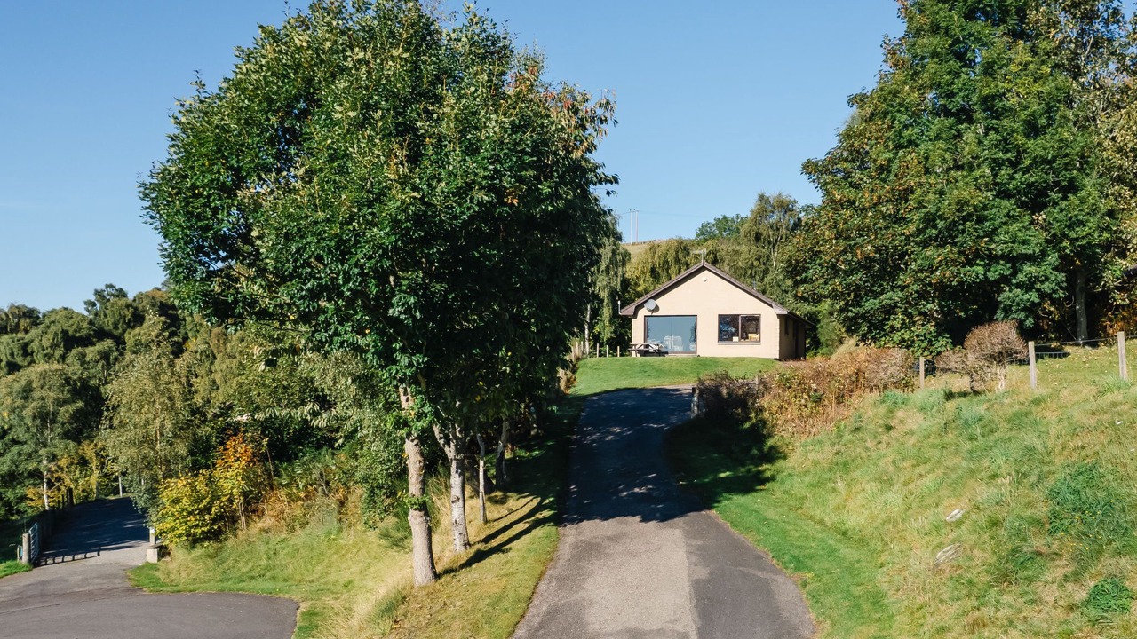 Photo of Others in Lewiston