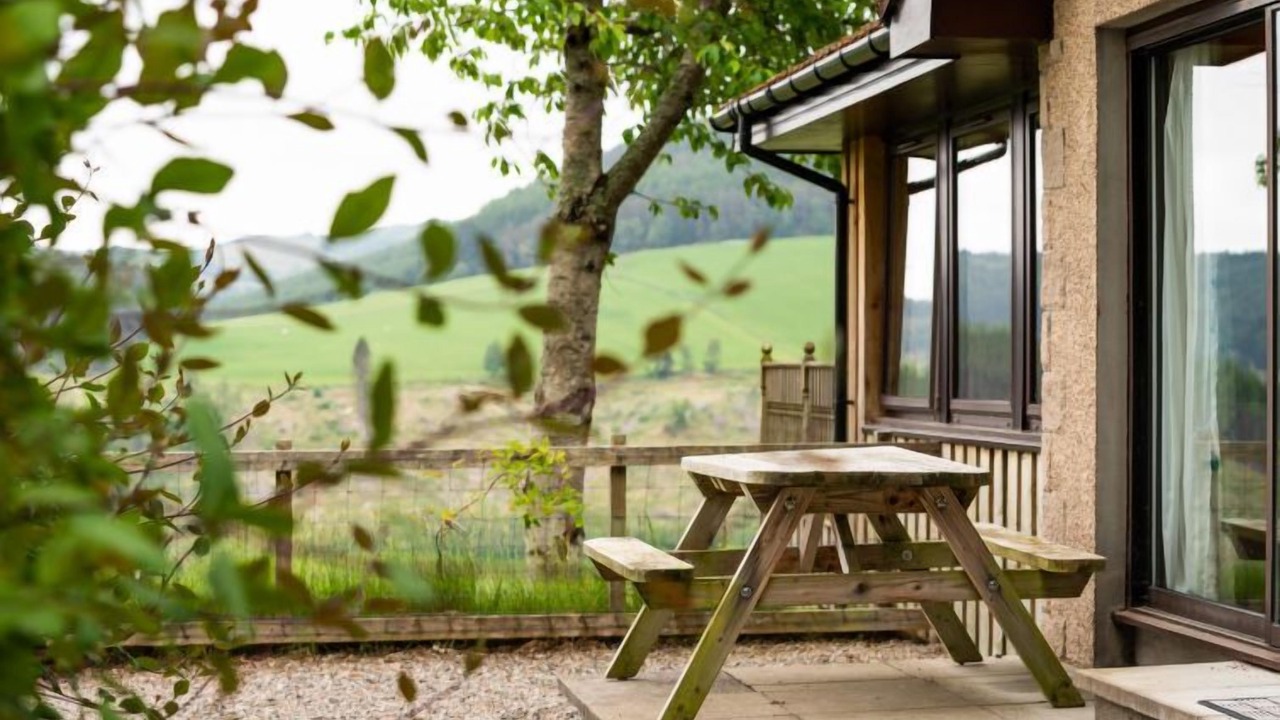 Photo of Others in Lewiston