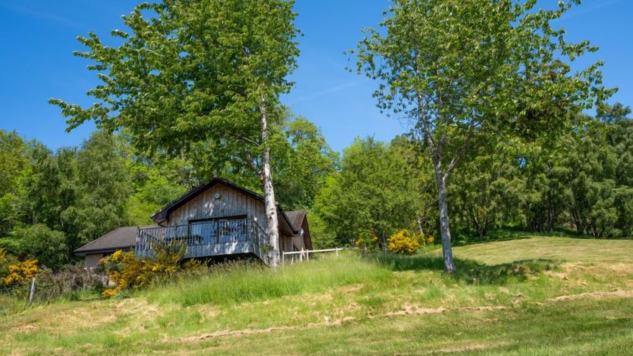 Photo of Others in Lewiston