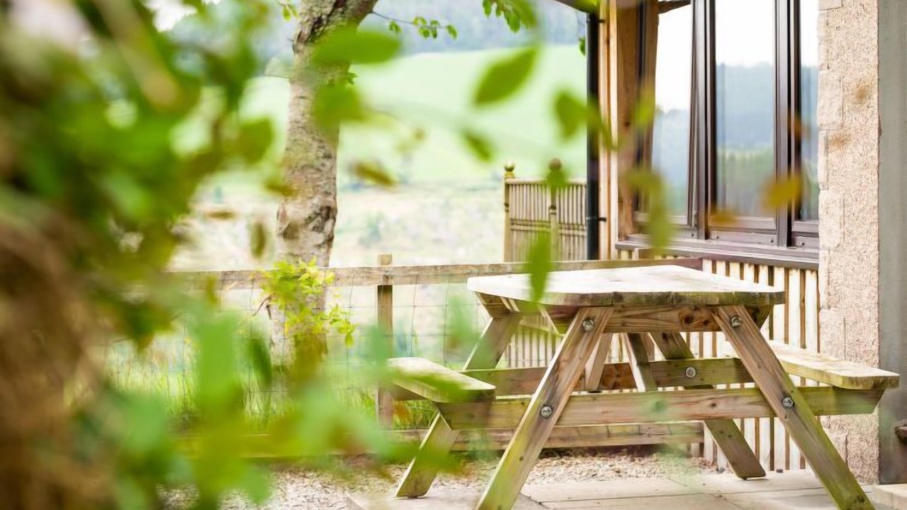 Photo of Others in Lewiston