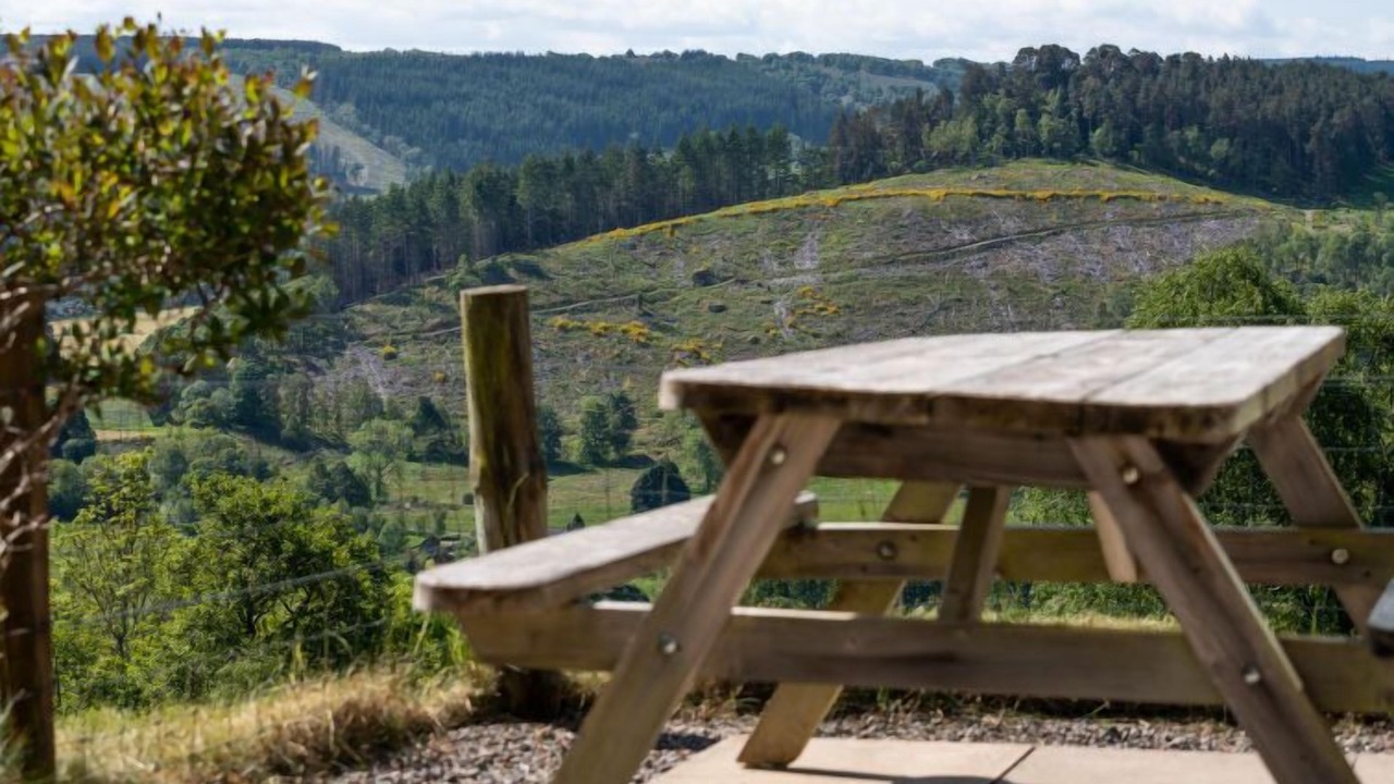 Photo of Others in Lewiston