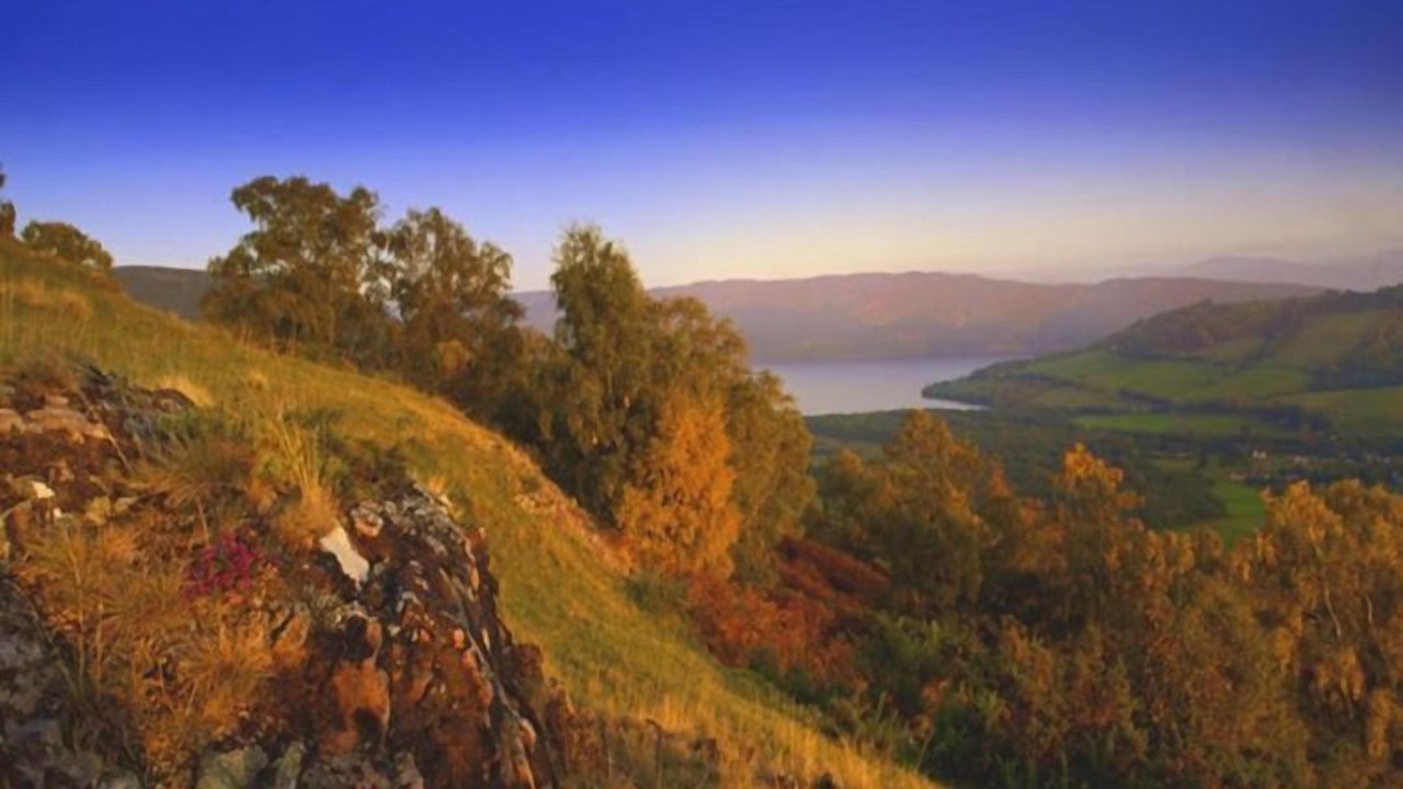 Photo of Others in Lewiston