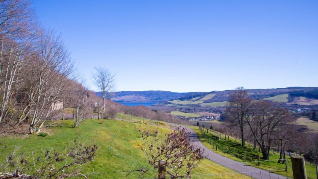 Photo of Others in Lewiston