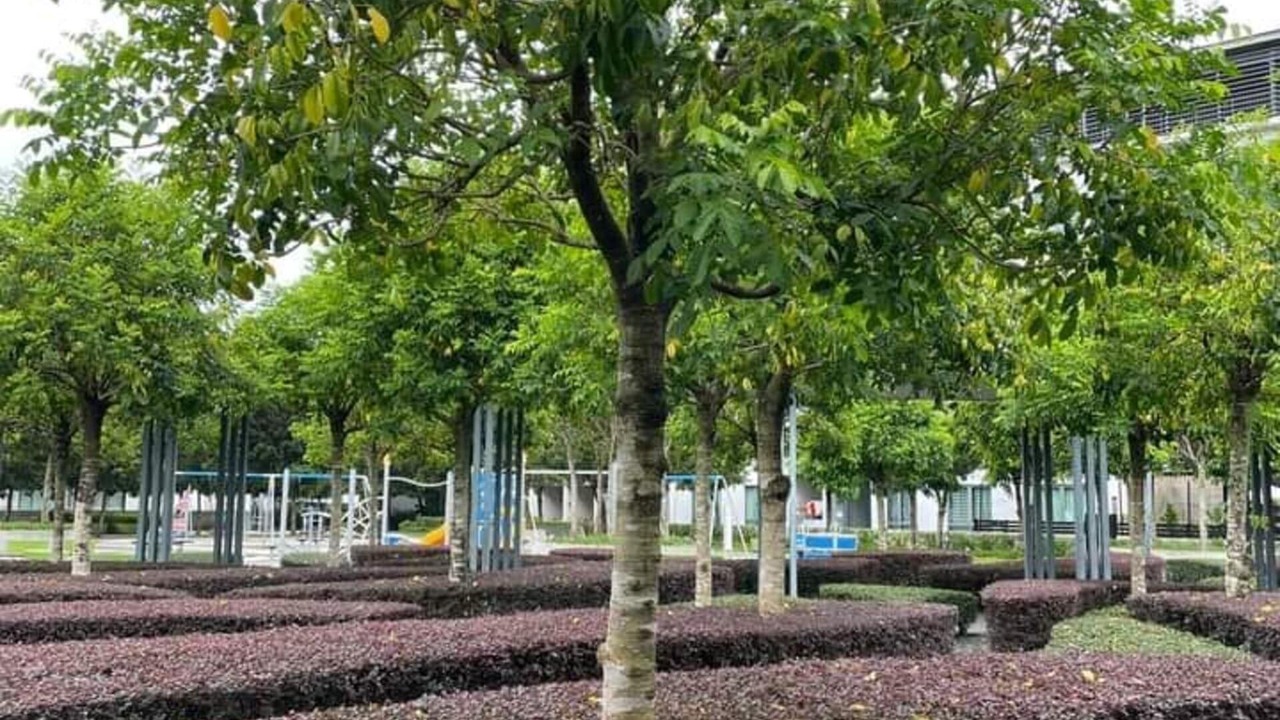 Photo of Outdoor in Downtown Kota Kinabalu