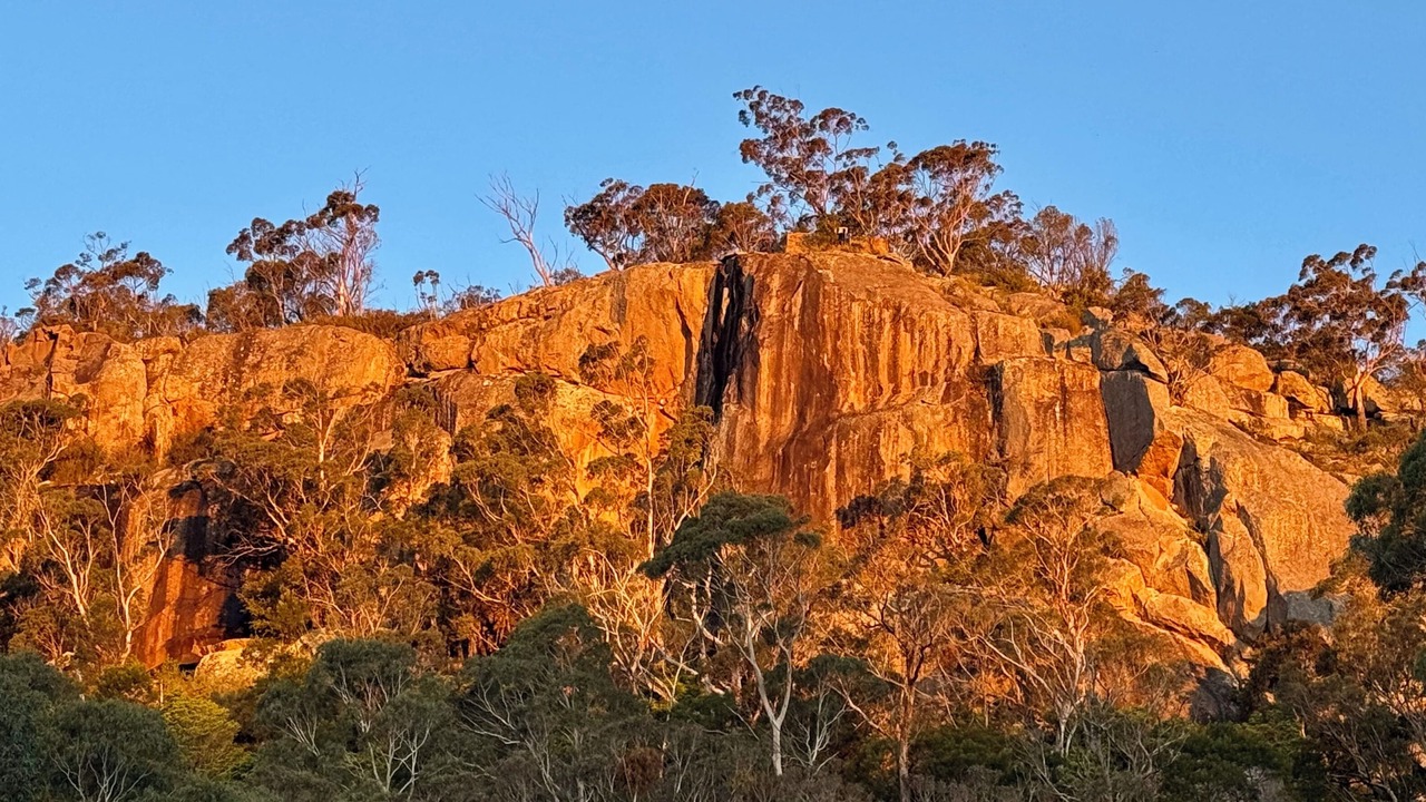 Photo of Others in Bowral