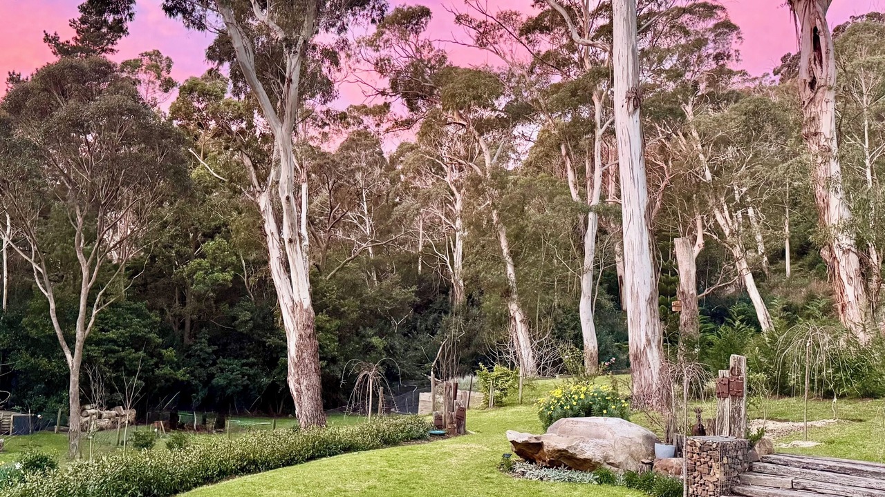 Photo of Outdoor in Bowral