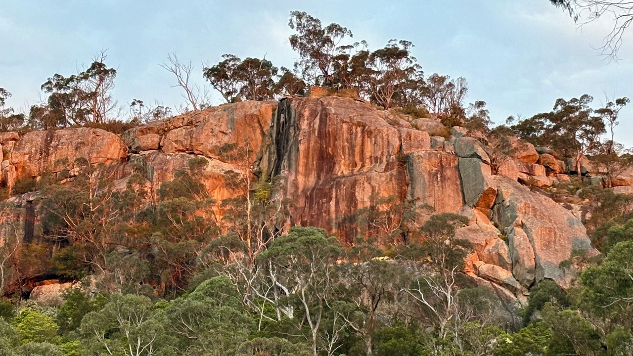 Photo of Others in Bowral