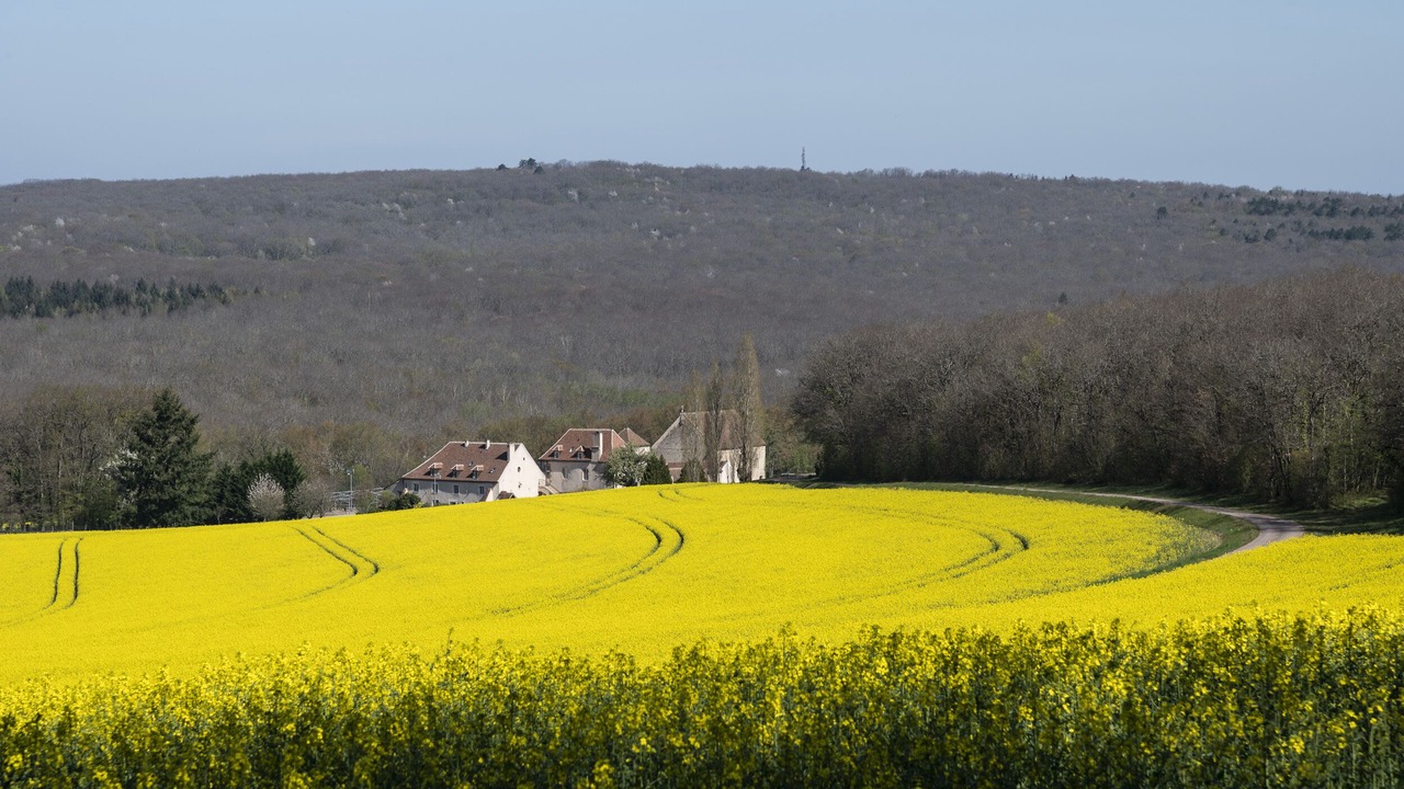 Photo of Outdoor in Asquins