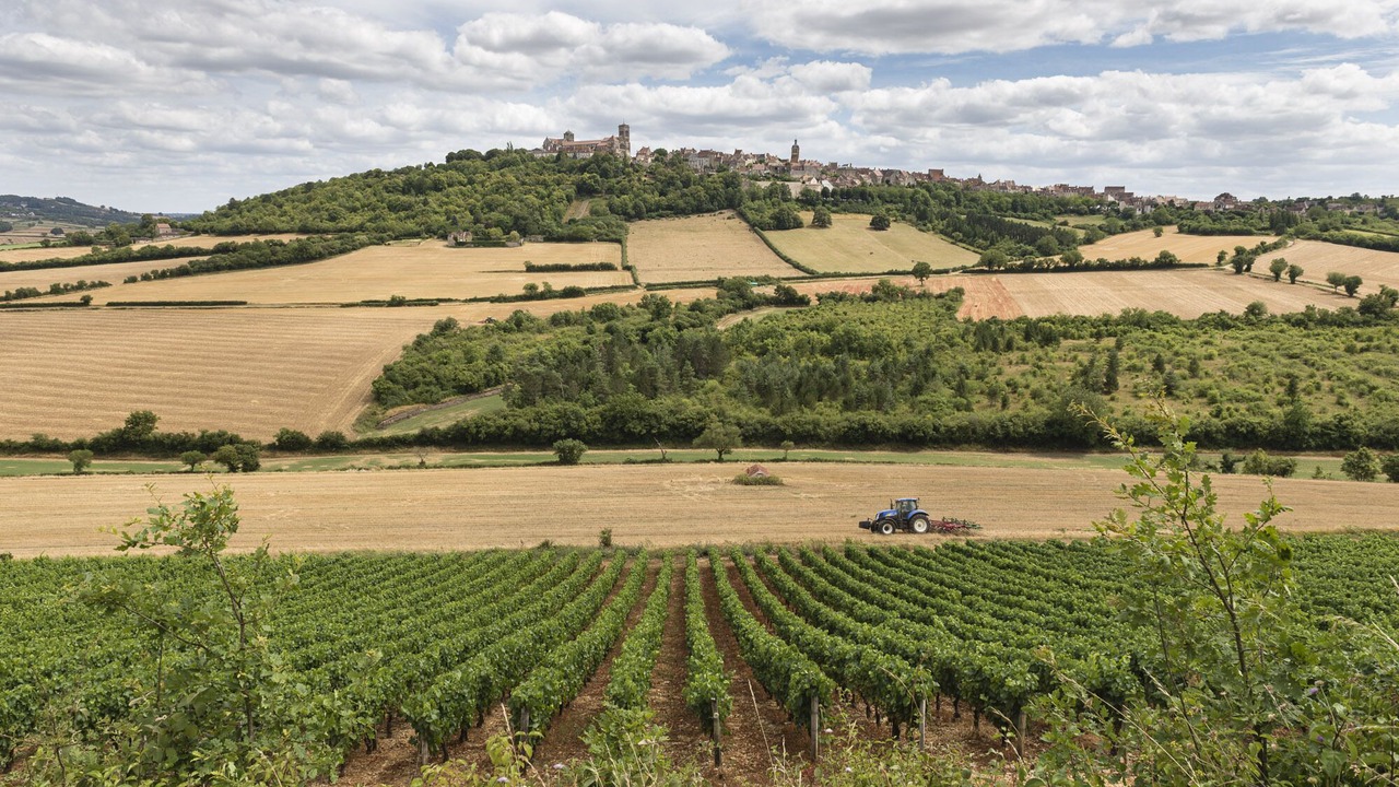 Photo of Others in Asquins