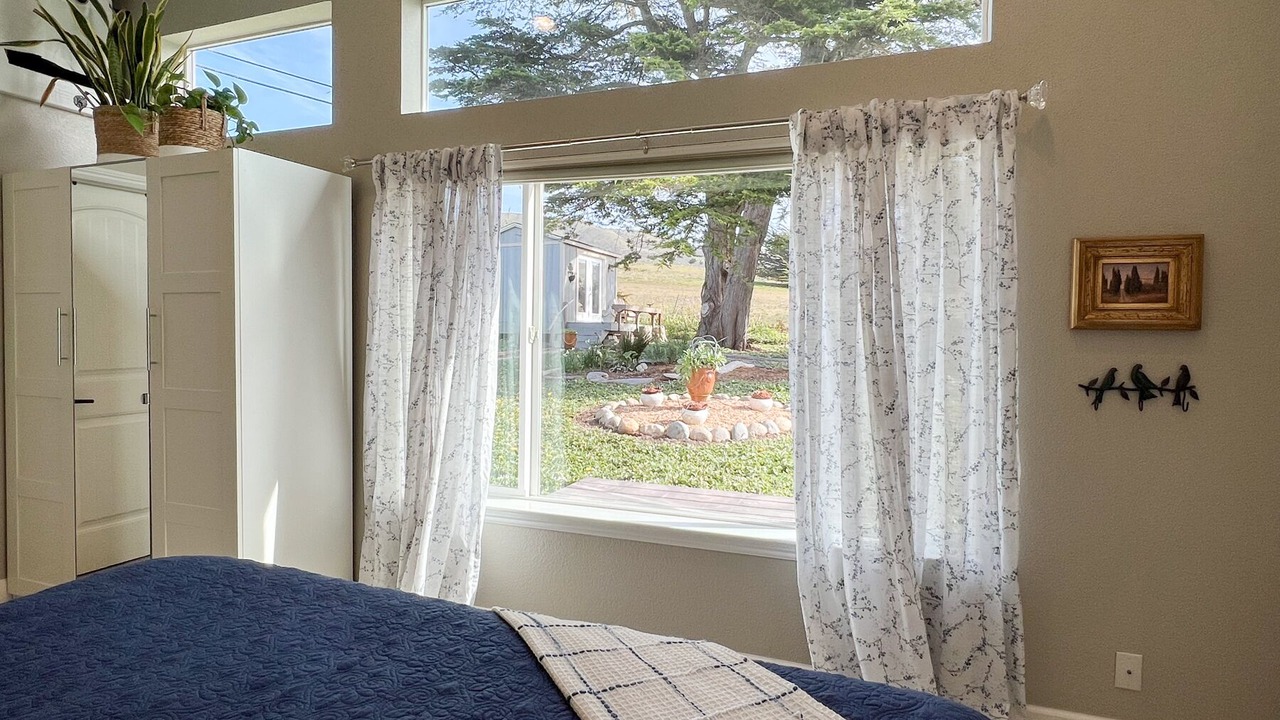 Photo of Others in Bodega Bay