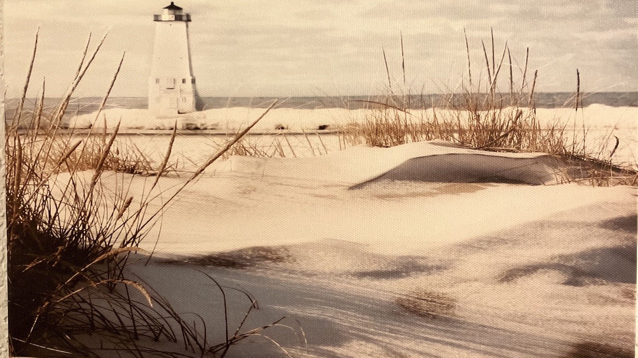 Photo of Others in North Port