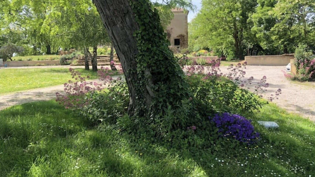 Photo of Outdoor in Monpardiac