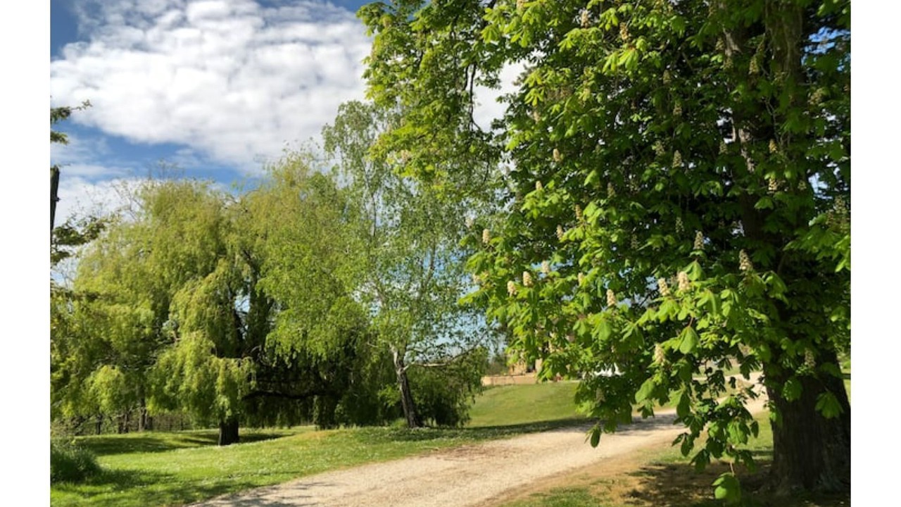 Photo of Outdoor in Monpardiac