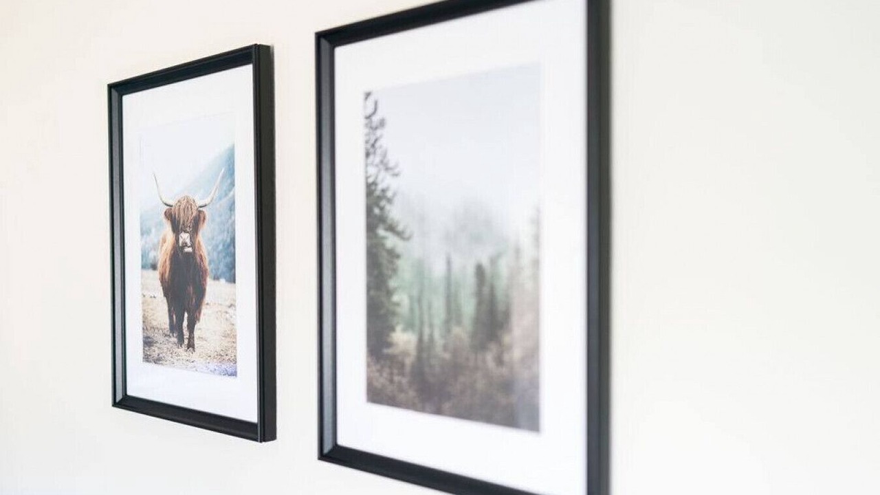 Photo of Others in Stonehaven