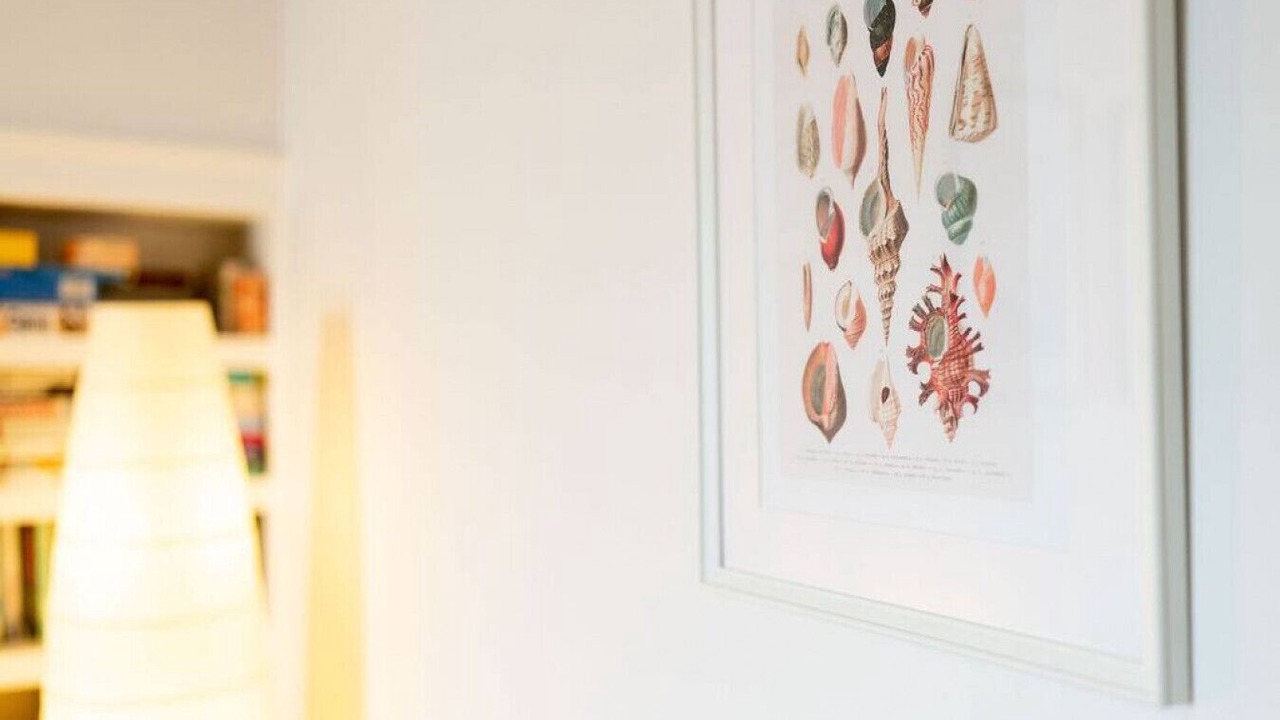 Photo of Others in Stonehaven