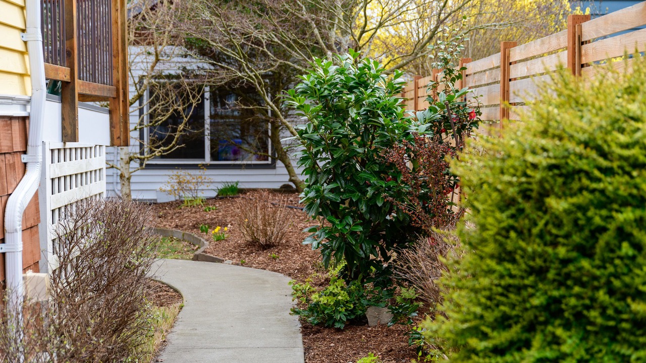 Photo of Outdoor in Sunset Hill