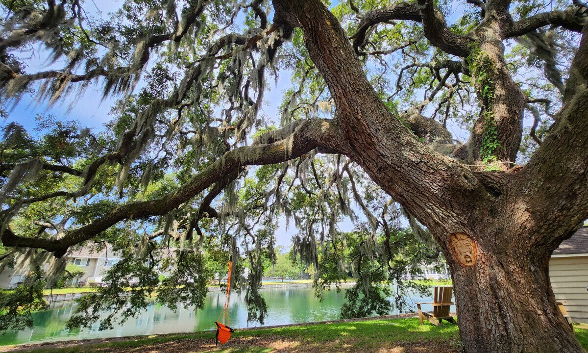 Photo of Others in Demere Park