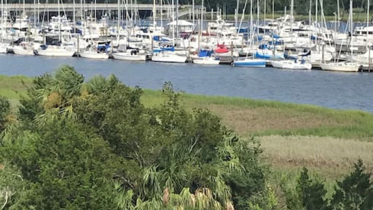 Photo of Others in Demere Park
