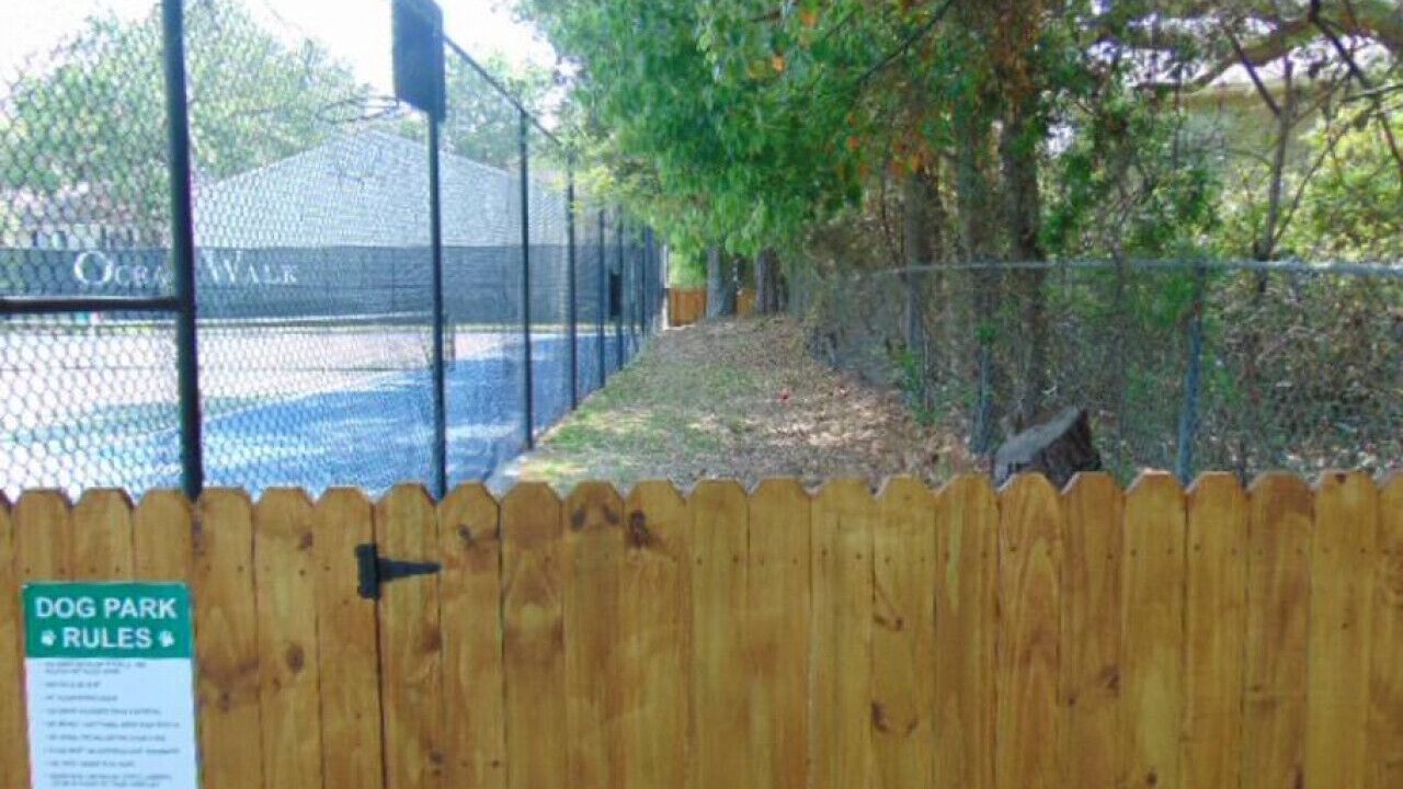 Photo of Others in Demere Park