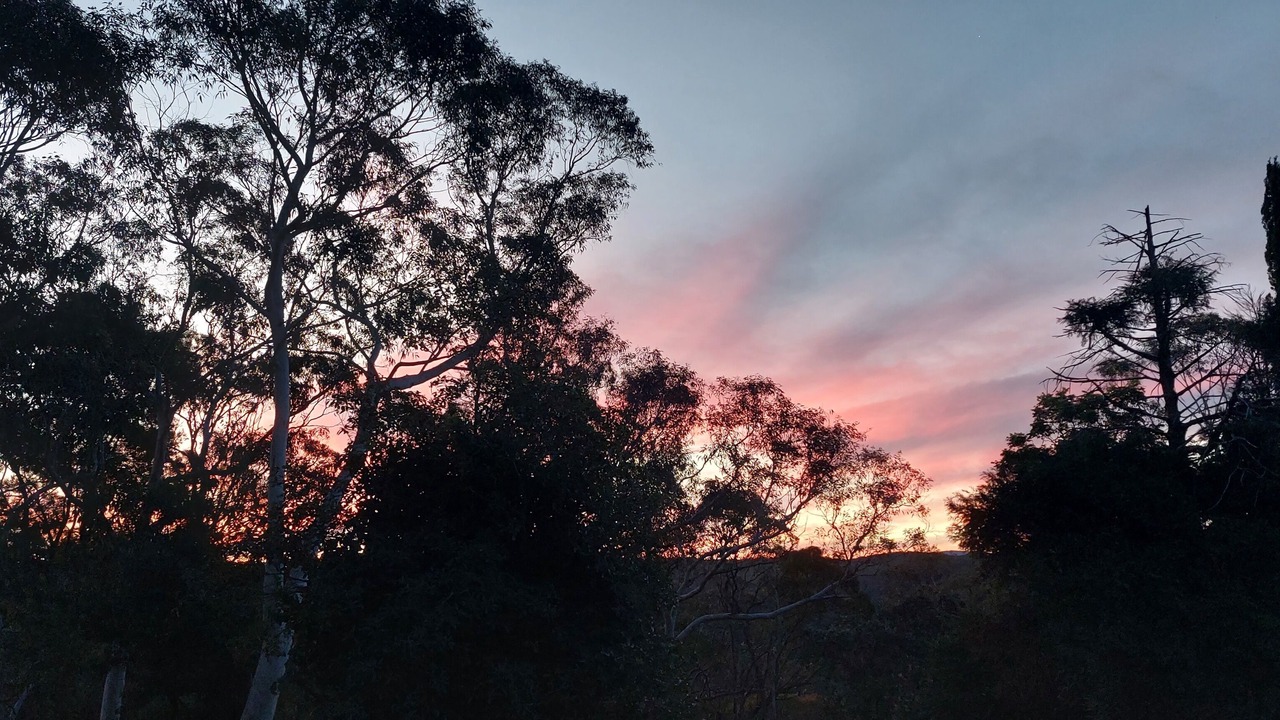 Photo of Outdoor in Faulconbridge