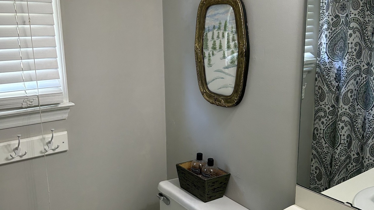 Photo of Bathroom in Apex
