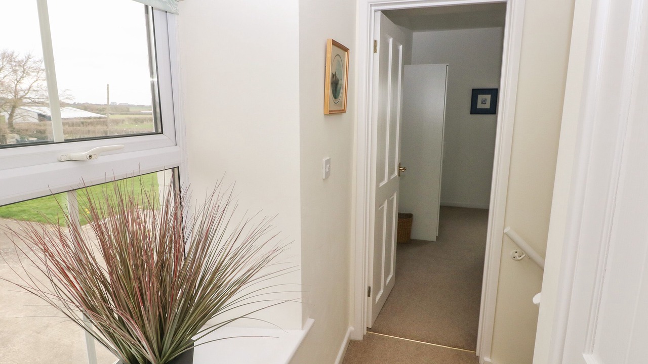 Photo of Others in Vale of Glamorgan