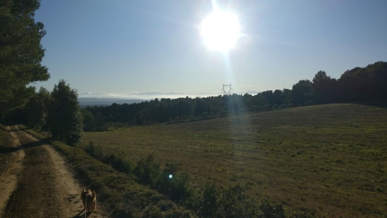 Photo of Outdoor in Villeneuve-Minervois