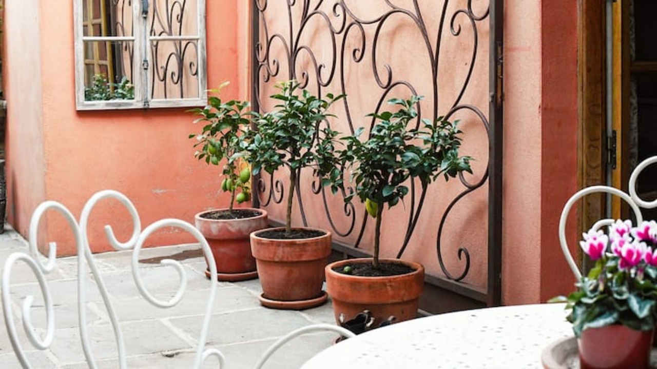 Photo of Outdoor in Villeneuve-Minervois