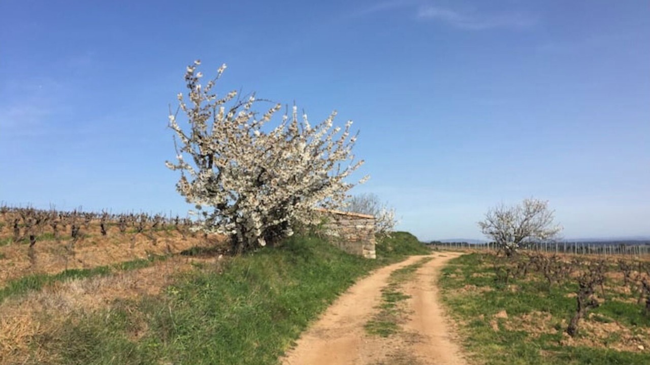 Photo of Outdoor in Villeneuve-Minervois