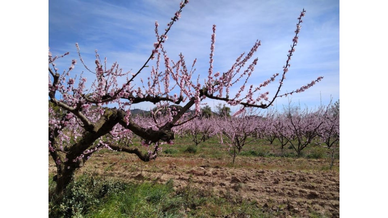 Photo of Others in Villeneuve-Minervois