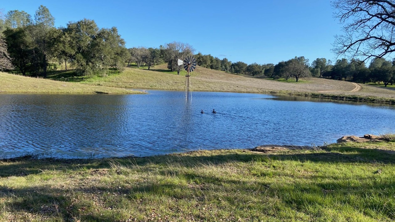Photo of Others in San Luis Obispo