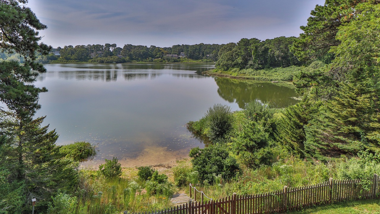 Photo of Others in West Chatham