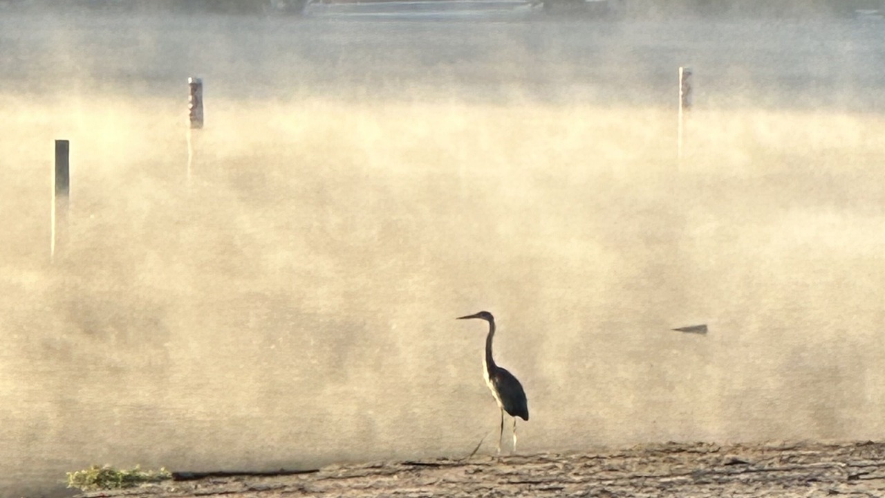 Photo of Outdoor in Harveys Lake