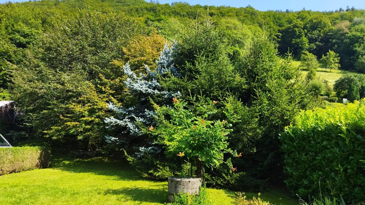 Photo of Outdoor in Marthod