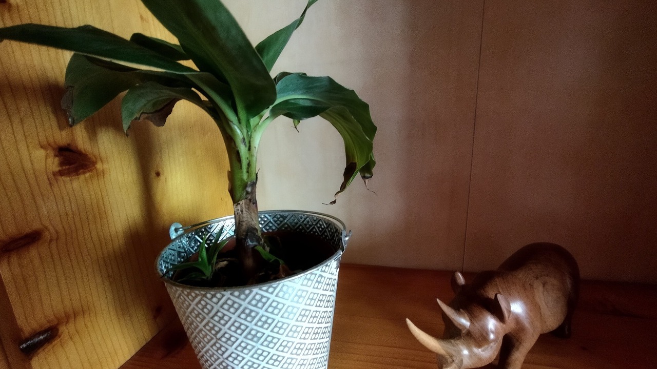 Photo of Others in Marthod