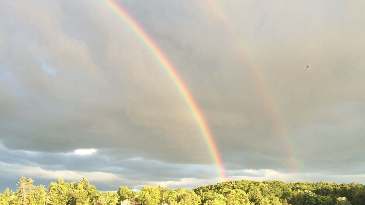 Photo of Others in Lake George