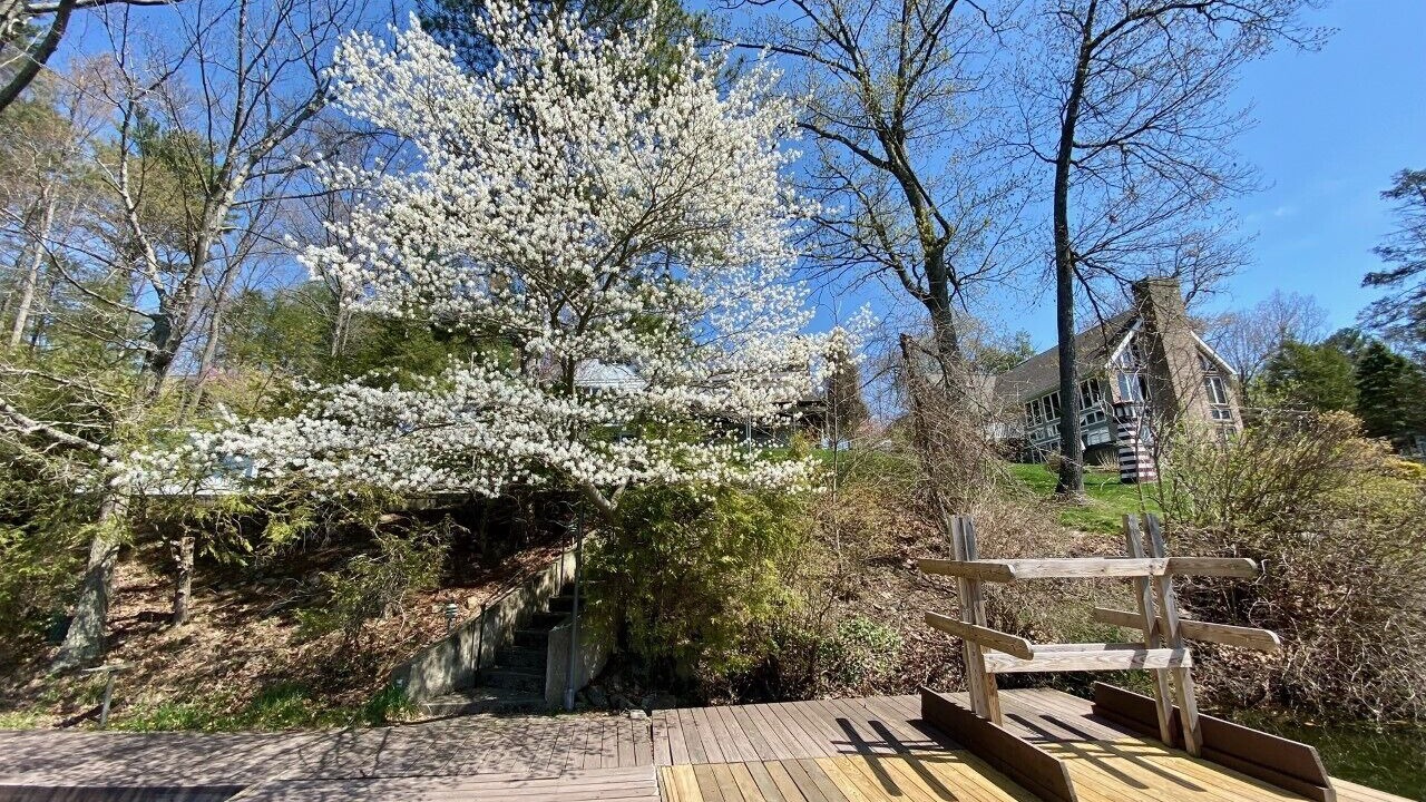 Photo of Outdoor in Lake Winola