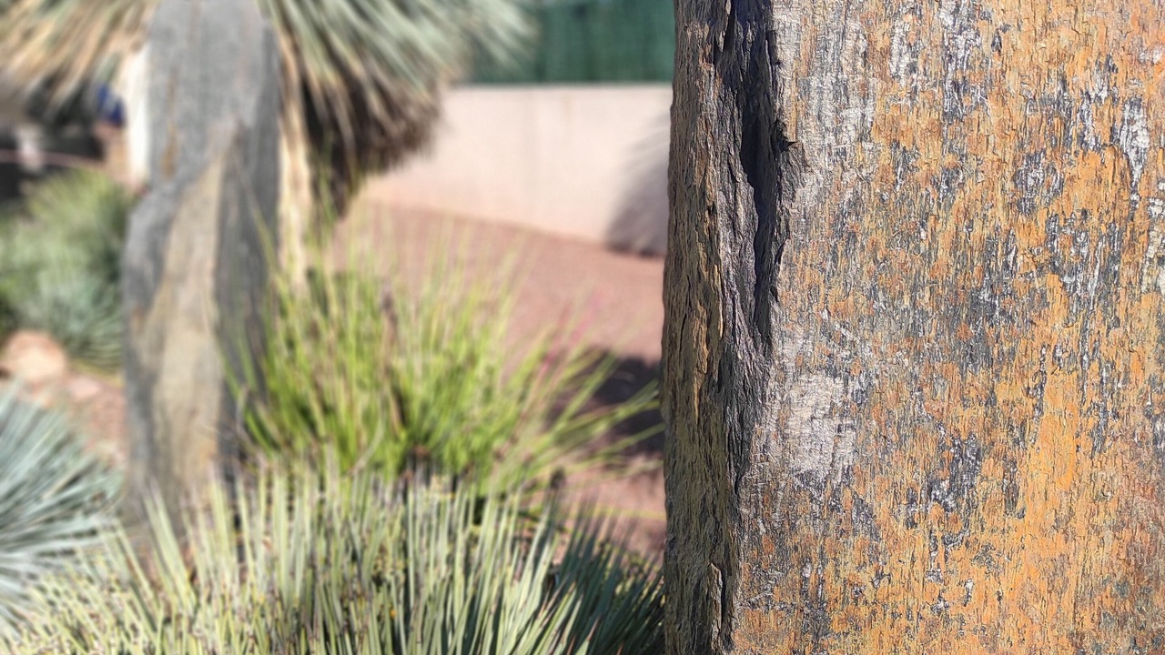 Photo of Outdoor in Frontignan