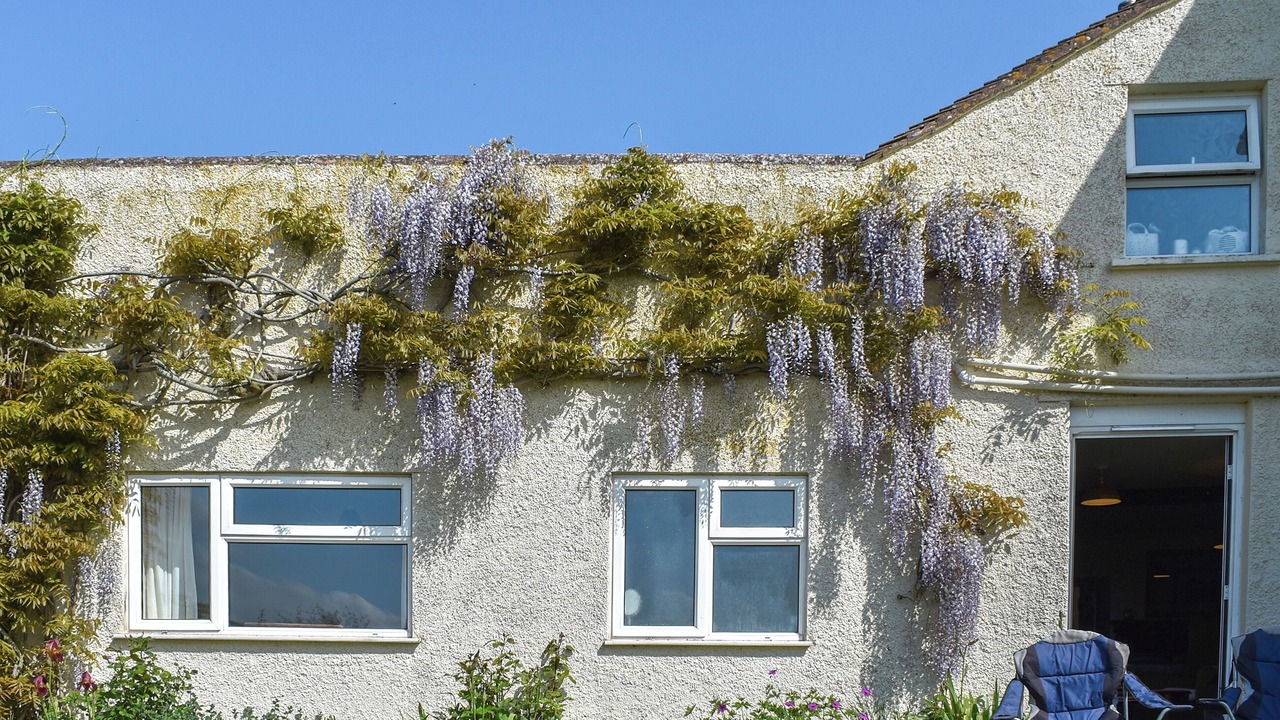 Photo of Outdoor in Fiddington