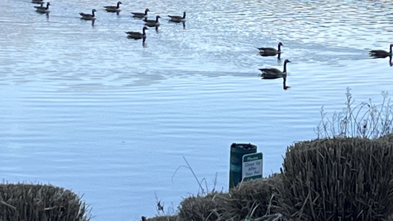 Photo of Others in Cary