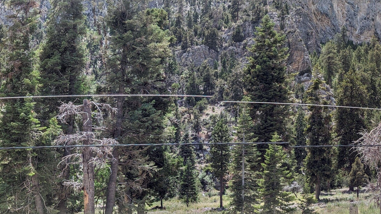 Photo of Others in Mount Charleston