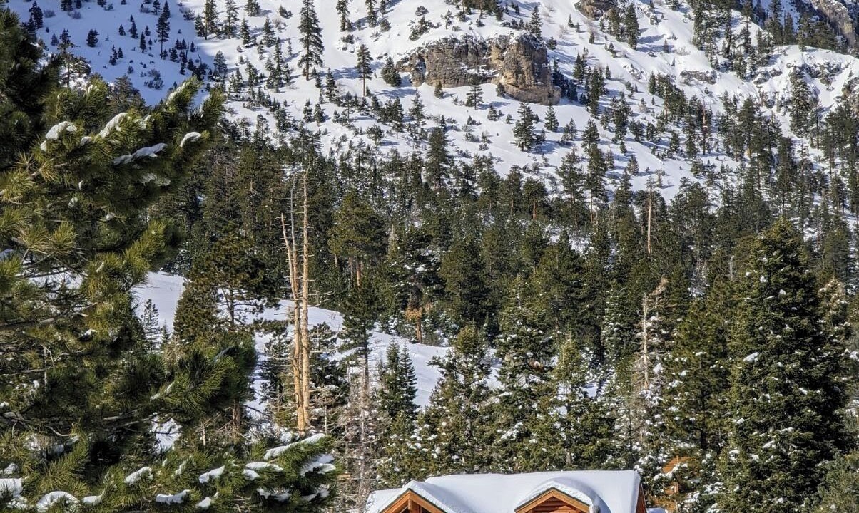 Photo of Outdoor in Mount Charleston