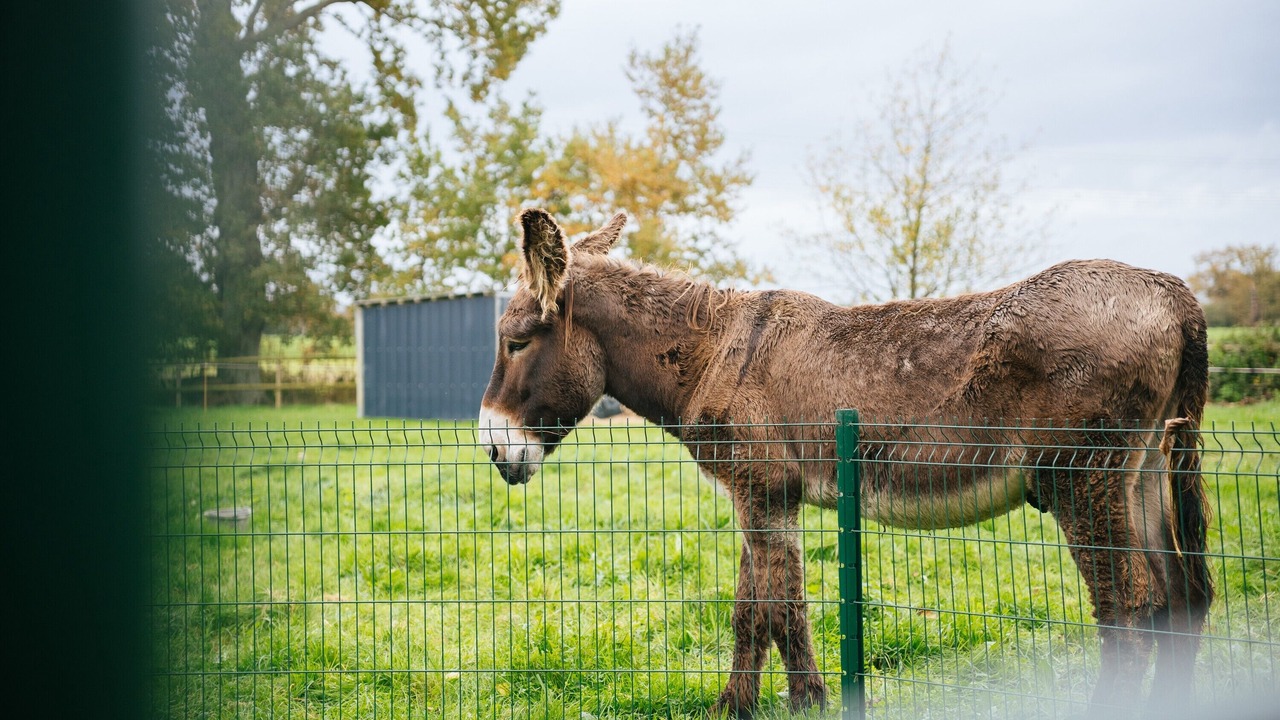 Photo of Others in Noyal-Chatillon-sur-Seiche