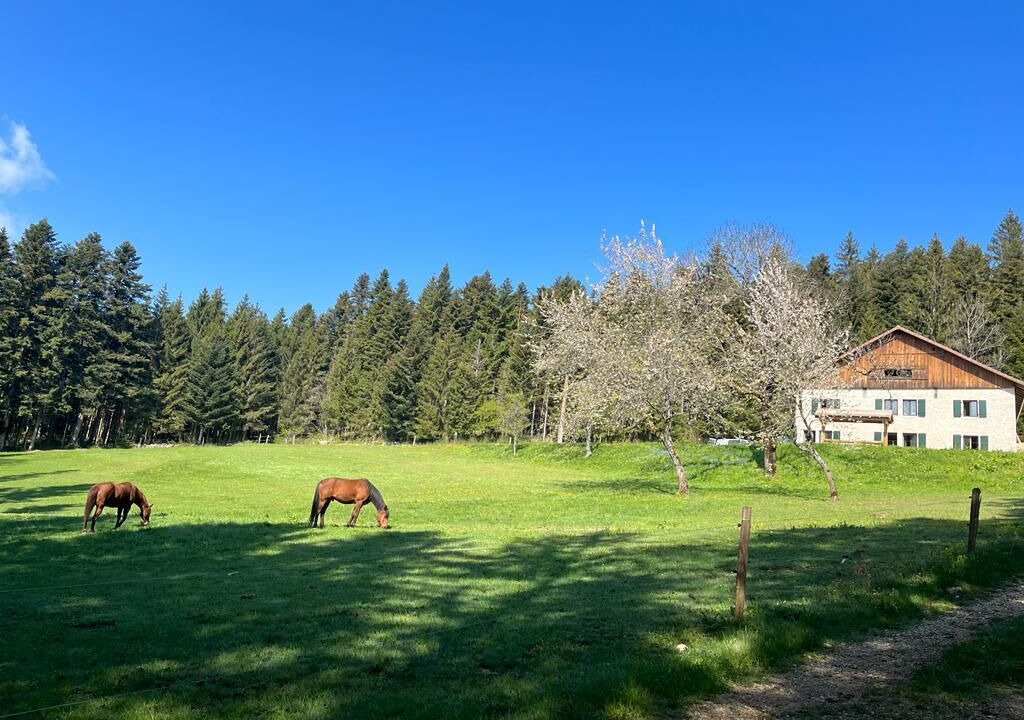 Photo of Outdoor in Plaimbois-du-Miroir